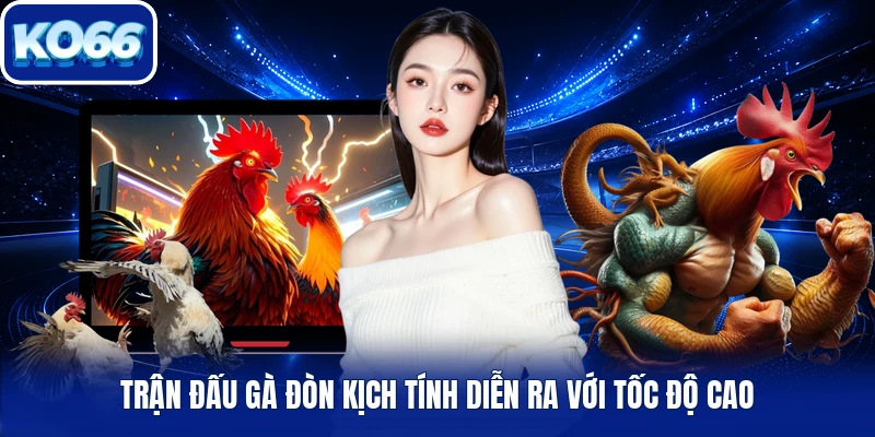 Trận đấu gà đòn kịch tính diễn ra với tốc độ cao